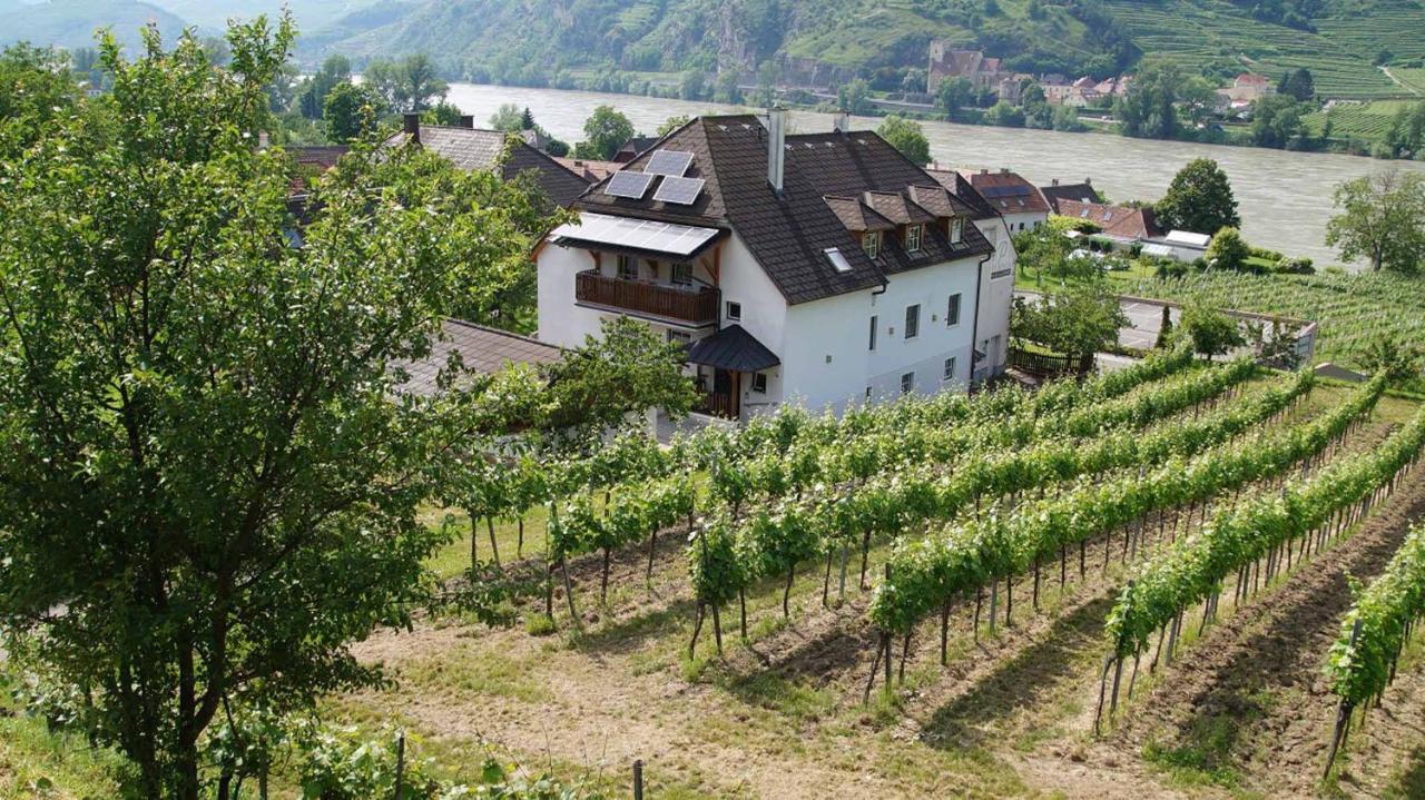 Weingut & Gaestezimmer Pammer Mitterarnsdorf Kültér fotó