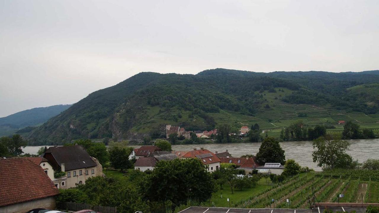 Weingut & Gaestezimmer Pammer Mitterarnsdorf Kültér fotó