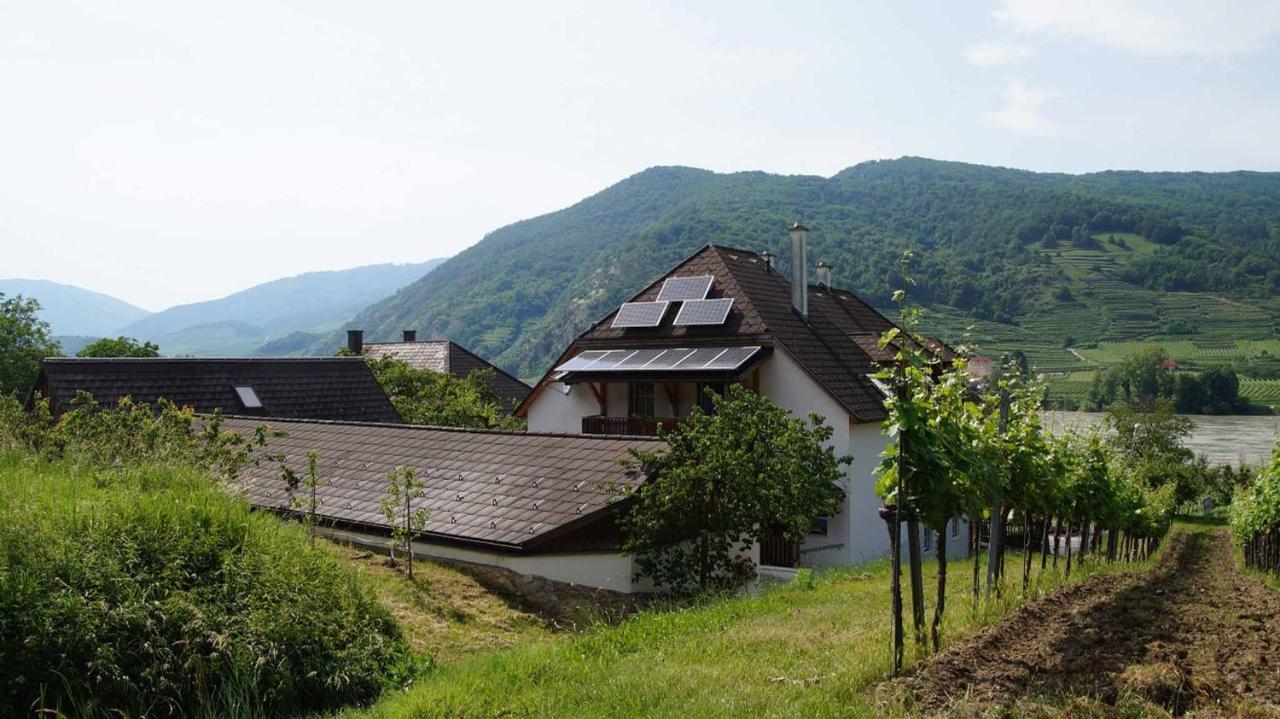 Weingut & Gaestezimmer Pammer Mitterarnsdorf Kültér fotó