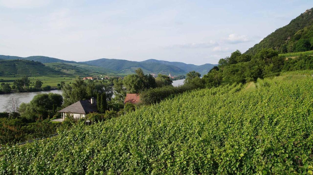 Weingut & Gaestezimmer Pammer Mitterarnsdorf Kültér fotó