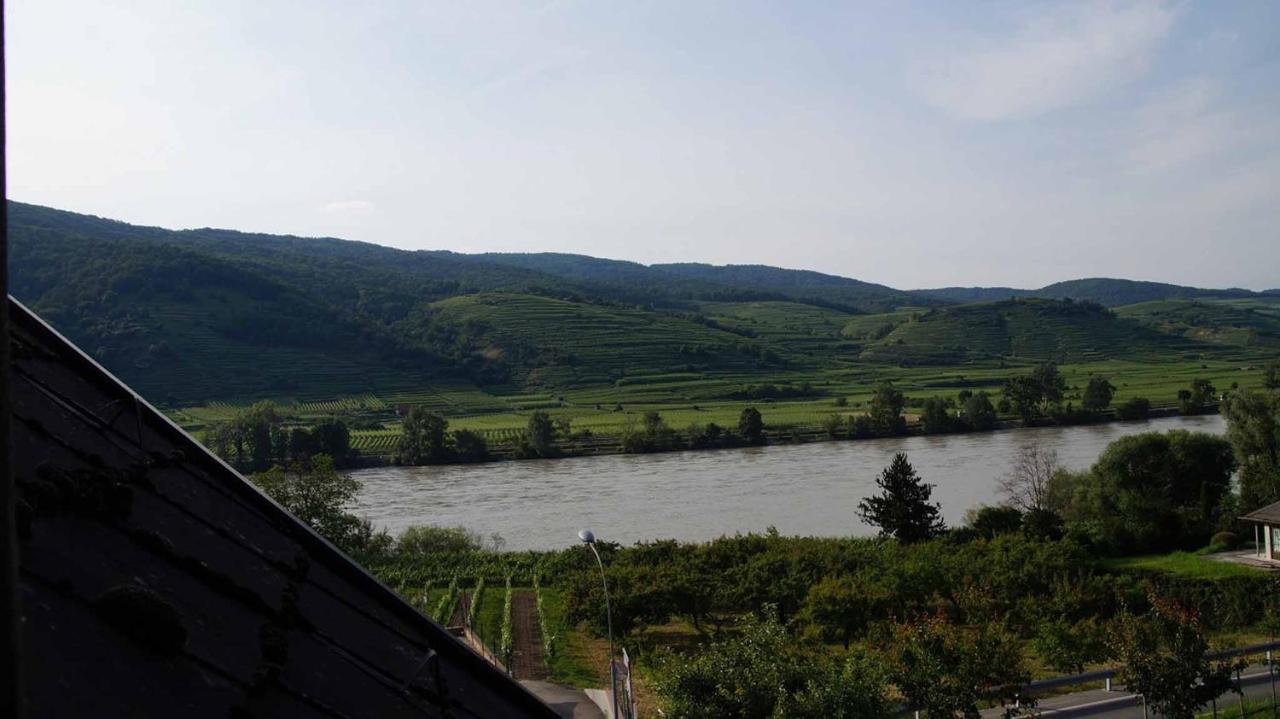 Weingut & Gaestezimmer Pammer Mitterarnsdorf Kültér fotó